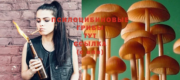 синтетический гашиш Алексин