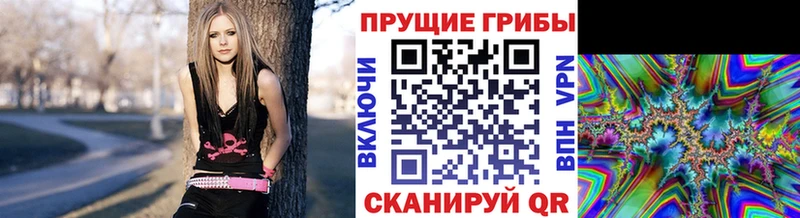 закладки  Харабали  Псилоцибиновые грибы мухоморы 
